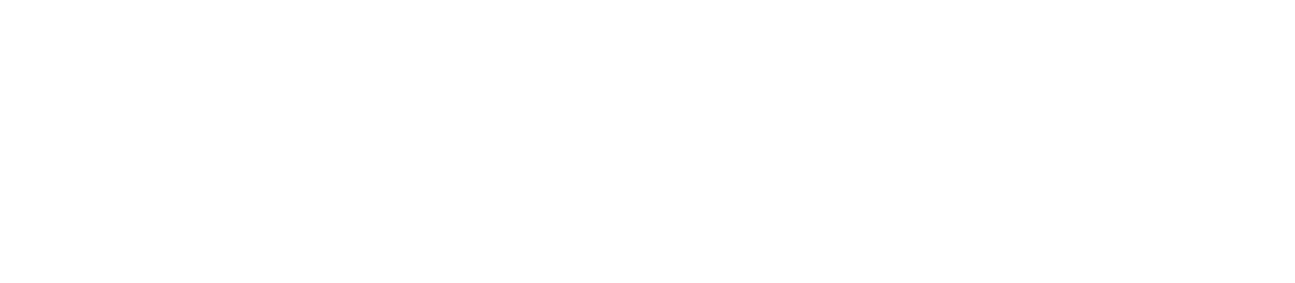 Black Bear Management logo